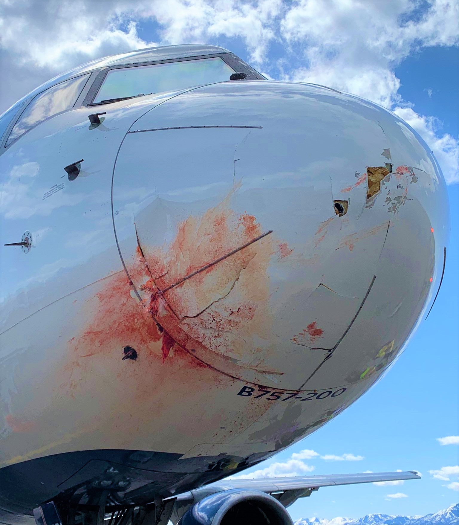 Multiple Bird  strike damaged  Delta Boeing B757-232  Engine no.1  and  Radome , forcing  Air Turn Back (ATB)  to  Salt Lake City (SLC).